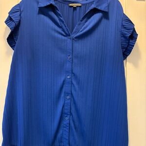 Adrianna Papell Blue Cap Sleeve Blouse
